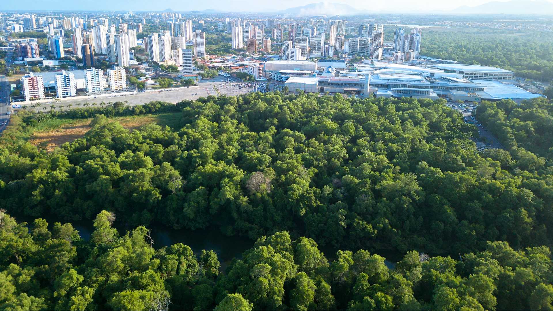 arquitetura sustentável